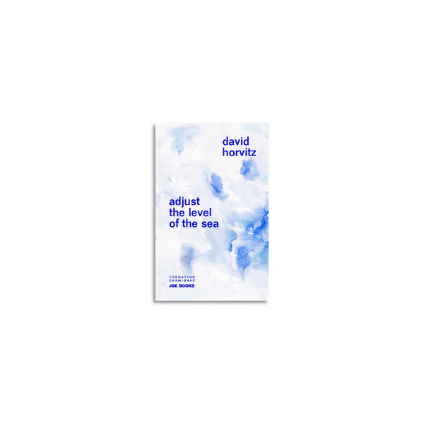 Adjust the level of the sea by David Horvitz