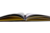 Couldn't Care Less by Thomas Lélu & Lee Shulman (An Anonymous Project)